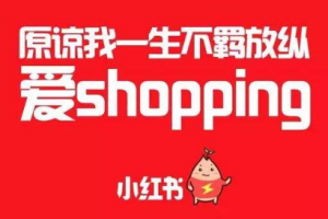 适合新手小白操作的小红书博主流量变现副业玩法