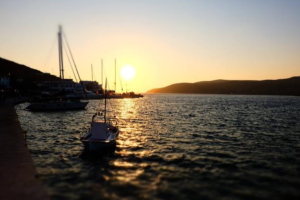 闷声发财的项目，利润率超700%的低门槛行业！