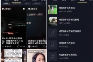 抖音赚钱小项目之定制专属背景音乐，一个星期收入超五位数。