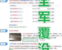 蓝海！我发现了月入过万的百度同城词SEO商机