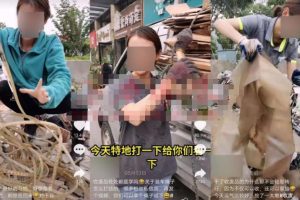 一套模板快速变现，小白也能做的抖音垂直号