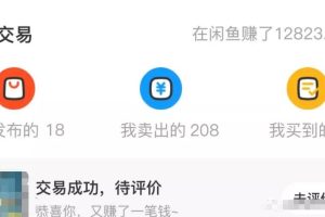 闲鱼搬砖赚钱项目，新手卖货日入300块