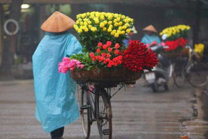 盆载赚钱项目,15分钟销售流水突破200元