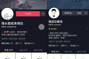 抖音纸壁号项目玩法，引流赚钱效果非常可观