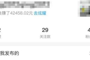 [闲鱼低成本暴利玩法]小白实战一月6000+的闲鱼低成本暴利玩法