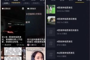 [抖音赚钱小项目]抖音赚钱小项目之定制专属背景音乐，一个星期收入超五位数。