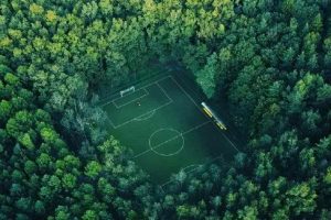 [小红书涨粉秘籍]拆解了1000篇小红书笔记，我终于悟到了涨粉秘籍