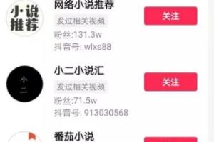 [小说分销项目]小说分销项目现在好做吗？利用抖音轻松日入200+