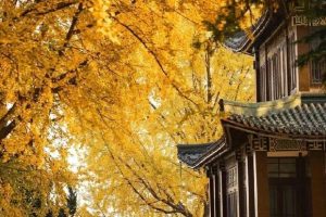 [拼多多套路]揭秘一个拼多多套路，“退货”居然也可以赚钱