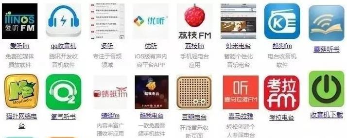 [声音赚钱]不敢露脸没文笔没口才，如何通过自己的声音日赚200+插图