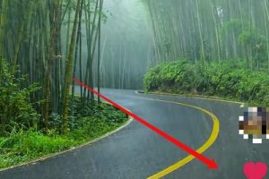 [抖音壁纸号]一单利润1500元，抖音壁纸号这个项目简单又暴利！