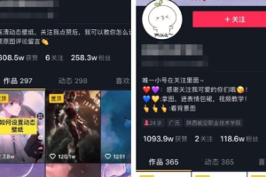 [抖音小项目]轻松日入600+，适合小白短视频创业的抖音小项目