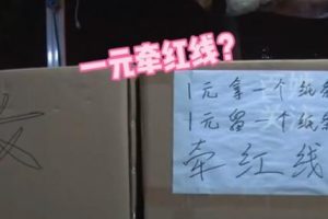 空手套白狼新项目！准备两个纸箱就能开始挣钱