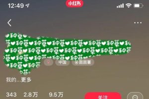 [打造爆款笔记]如何玩小红书月入8000＋？手把手教你打造爆款笔记，快速吸粉＋吸金