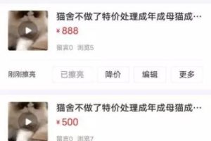 [闲鱼引流宠物粉]闲鱼引流宠物粉卖阿猫阿狗一单利润1000+，你干不干？