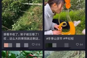 [空手套白狼]空手套白狼之抖音上如何卖水果？