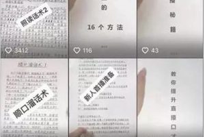 [纸质版抖音玩法]纸质版抖音玩法，不露脸，不剪辑但收入OK，2个月变现18万