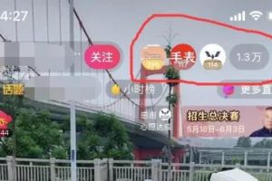 [最新抖音精准粉引流方法]最新抖音精准粉引流方法，已测试可行，小白也能玩！