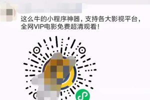 [微信影视小程序项目]网赚交流：火爆全网的微信影视小程序项目怎么做？