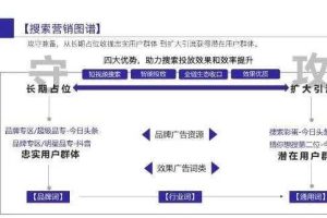 [抖音SEO流量]案例分析抖音SEO流量的秘密 获取百万流量进行赚钱变现