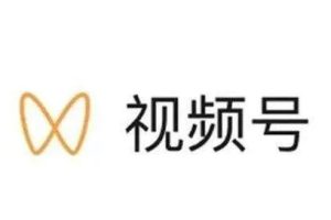 [视频号伪原创搬运]视频号伪原创搬运，简单易操作，0风险0成本