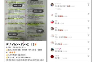 [日入1000]小红书简单粗暴式玩法，可实现日入1000+