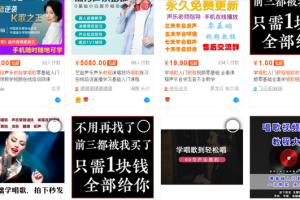 [蓝海项目]教你一招淘宝产品搬运百度做变现的思维技巧，做好了至少让你月入5-10W~