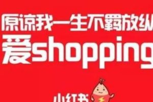 [小红书变现]适合新手操作的小红书博主流量变现副业玩法