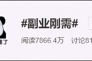 [流量变现平台]推荐两个稳定副业，月入过万的流量变现平台