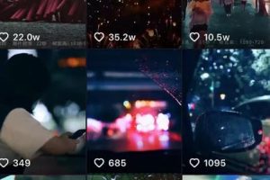 [抖音卖视频素材]抖音赚钱案例：通过抖音卖视频素材，变现百万！