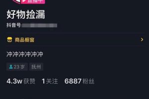 [抖音捡漏号赚钱项目]抖音捡漏号赚钱项目解析：一天稳赚300的实战操作