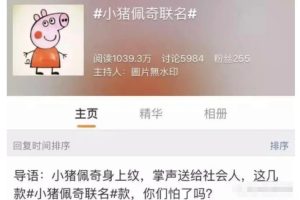 [社会人小猪佩奇]低成本高利润，90%利润率，社会人小猪佩奇了解下，轻轻松松月赚8000+