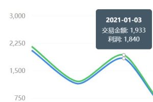 [写真会员网站变现]分享一个做写真会员网站变现32334元的项目案例