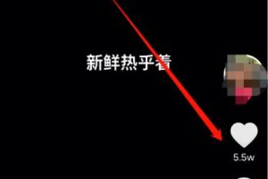 [短视频项目]每天轻松半个小时，不露脸也能做到快速涨粉的短视频项目