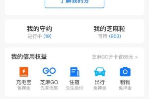 [闲鱼卖货]玩赚闲鱼：闲鱼平台的背景优势和卖货前期的准备（一）