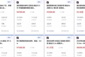 [抖音音乐号]0成本操作抖音音乐号，上手简单月入5000＋