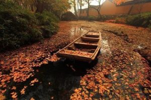 [拼多多套路]揭秘一个拼多多套路，“退货”居然也可以赚钱