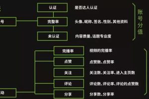 一套模板快速变现，小白也能做的抖音垂直号