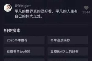 [抖音SEO流量]案例分析抖音SEO流量的秘密 获取百万流量进行赚钱变现