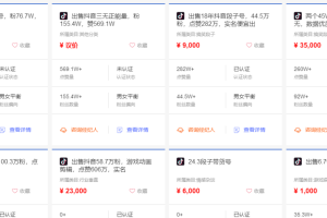 蓝海抖音礼仪培训项目赚钱，月入过万很轻松