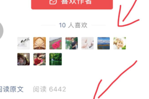 冷门行业闷声赚钱，微信公众号自动化变现的真实案例