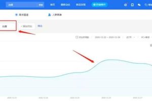 做偏门项目之卖动漫手办，一个很细分的垂直领域项目！