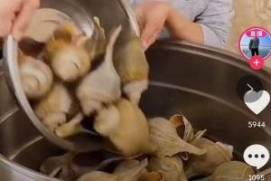 [抖音带货]把抖音做成淘宝，带货效率会更高