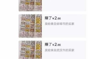 新手靠这个小众蓝海暴利项目，一个月赚1万多块钱