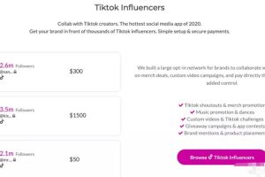 TikTok站外引流亚马逊红人营销具体操作方法