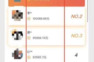 揭秘月入十万赚钱项目设计流程与操作细节