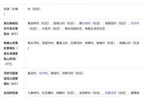 同城本地粉丝每日被动引流50-100的方法