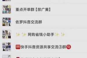 一个人如何利用微信群自动群发引流,一星期装满200个群,日入500+【揭秘】