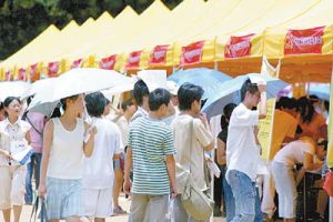 在家兼职，在家兼职工作有哪些日结？