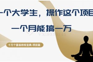 十万个富翁修炼宝典之4.一个大学生操作这个项目，一个月能搞一万